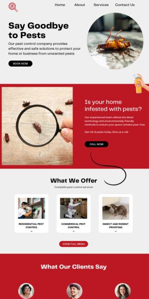 Example of what a well designed pest control website looks like