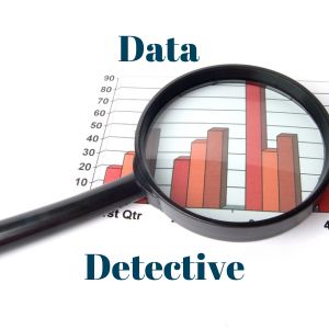 Data Detective